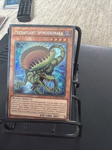 Prevalent spinodionaea secret - prevalent,